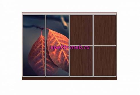 Шкаф-купе Игуасу Арт 29