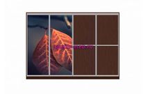 Шкаф-купе Игуасу Арт 29