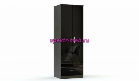 Распашной шкаф 2 Глянцевый