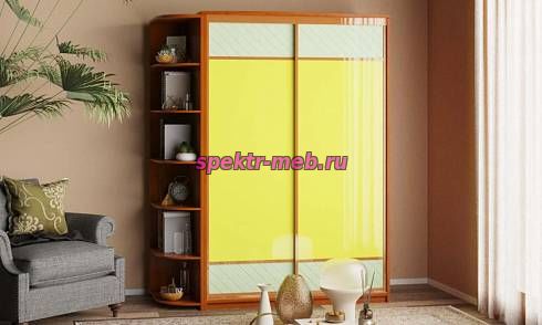 Шкаф-купе Александр-1