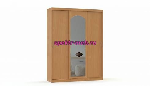 Шкаф-купе Алиса 12