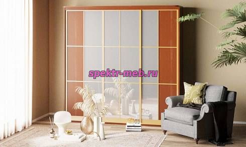 Шкаф-купе Виктория Комби