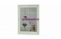 Шкаф-купе Идея 1