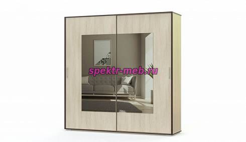 Шкаф-купе Валерия М