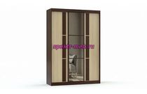 Шкаф-купе Европа-12