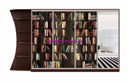 Шкаф-купе Мюррей