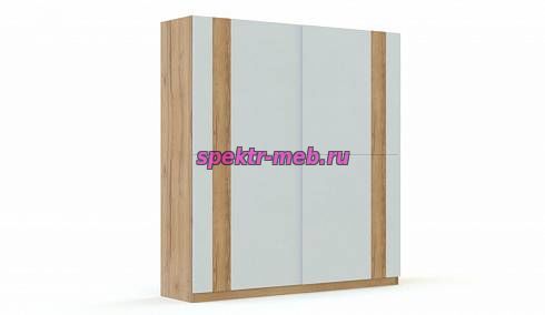 Шкаф-купе Асура