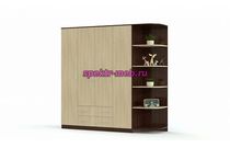 Распашной шкаф Светлана 12