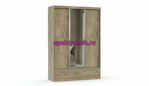 Шкаф-купе Виктория-10