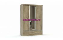 Шкаф-купе Виктория-10