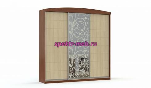 Шкаф-купе София 13