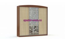 Шкаф-купе София 13