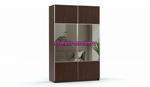 Шкаф-купе Скуп 4