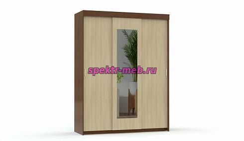 Шкаф-купе Рио-2 М