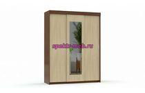 Шкаф-купе Рио-2 М