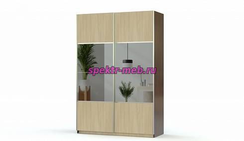 Шкаф-купе Рамона 2