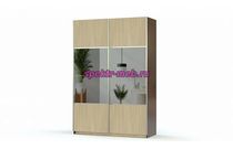 Шкаф-купе Рамона 2