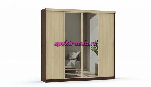 Шкаф-купе Светлана ЛДСП