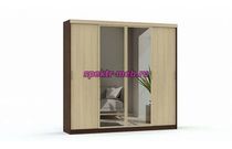 Шкаф-купе Светлана ЛДСП