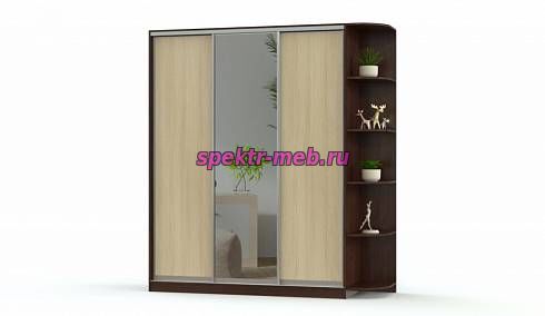 Шкаф-купе Светлана 26