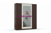 Распашной шкаф Варна 1