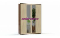 Распашной шкаф Саломея