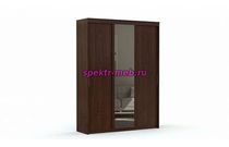 Шкаф-купе София 5