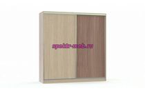 Шкаф-купе Кармен