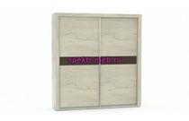 Шкаф-купе Марго 2D