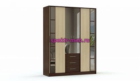 Шкаф-купе Ольга-9