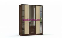 Шкаф-купе Ольга-9