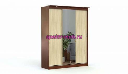 Шкаф-купе Светлана 18