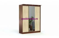 Шкаф-купе Светлана 18