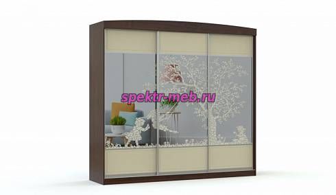 Шкаф-купе СП-517
