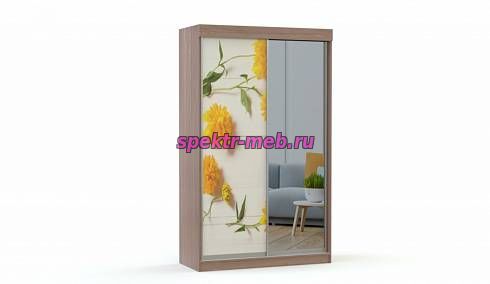 Шкаф-купе СП-4521