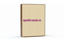 Распашной шкаф Триша 3