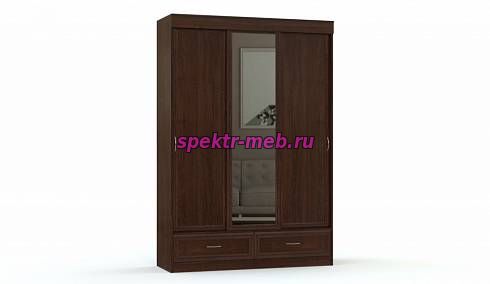 Шкаф-купе Валерия 9