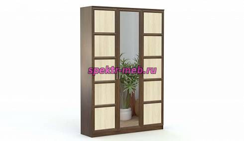 Распашной шкаф Токио 2