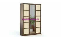 Распашной шкаф Токио 2