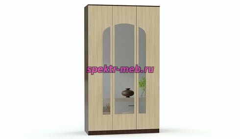 Распашной шкаф Светлана 19