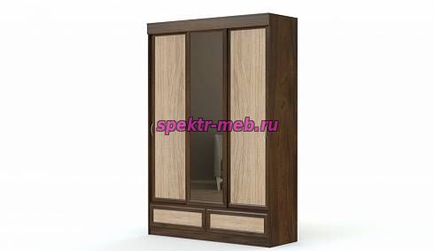 Шкаф-купе Валерия 4