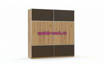 Шкаф-купе Диона