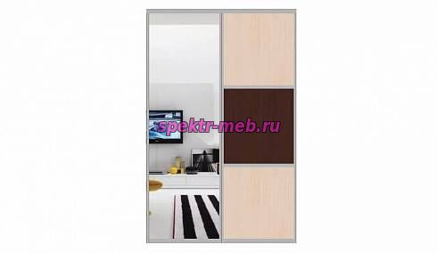 Двери-купе Рапс 1