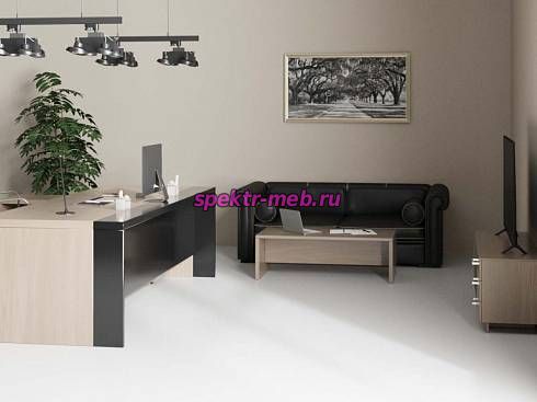 Кабинет руководителя Вакса 4