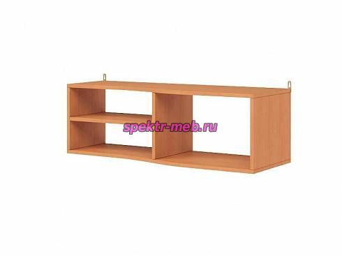 Полка Практик-1