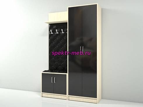 Прихожая Премиум 1.10