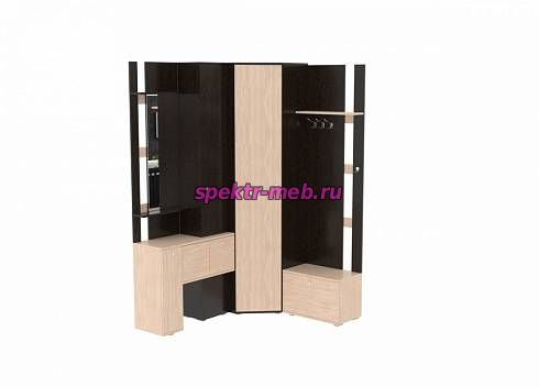Угловая прихожая Тери 19