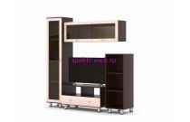 Стенка Сурин 10