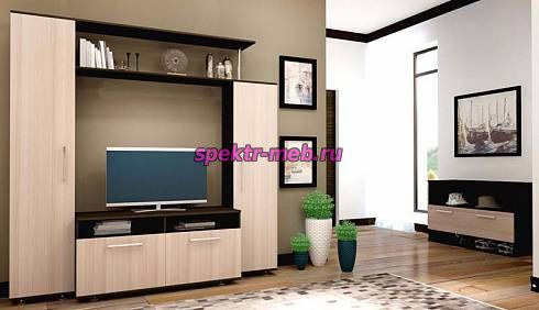 Гостиная Флокс