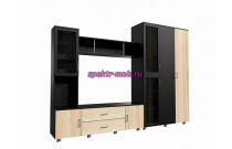 Гостиная Дарина Д-1